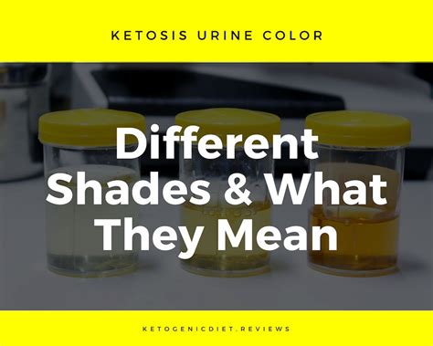 Keto Urine Color Chart