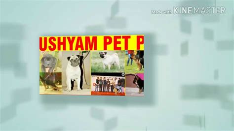 Khatushyam Pet Planet