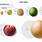 Kidney-Tumor-Size-Chart