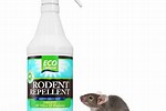 Kill All Your Pesky Rodents