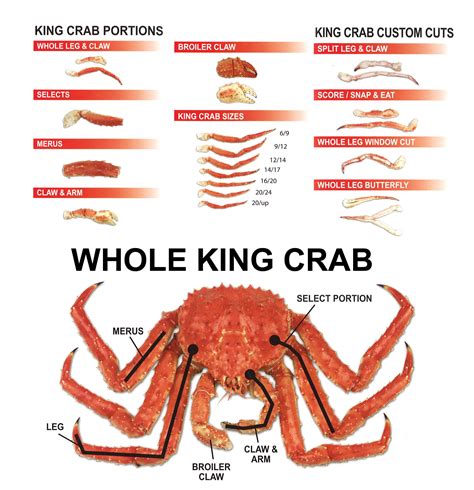 King Crab Size Chart