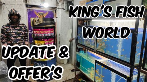 Kings Fish World - Pet's Hub