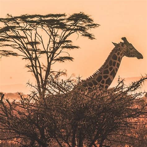 Kip Travels - Explore East Africa in Luxury, Style and Comfort