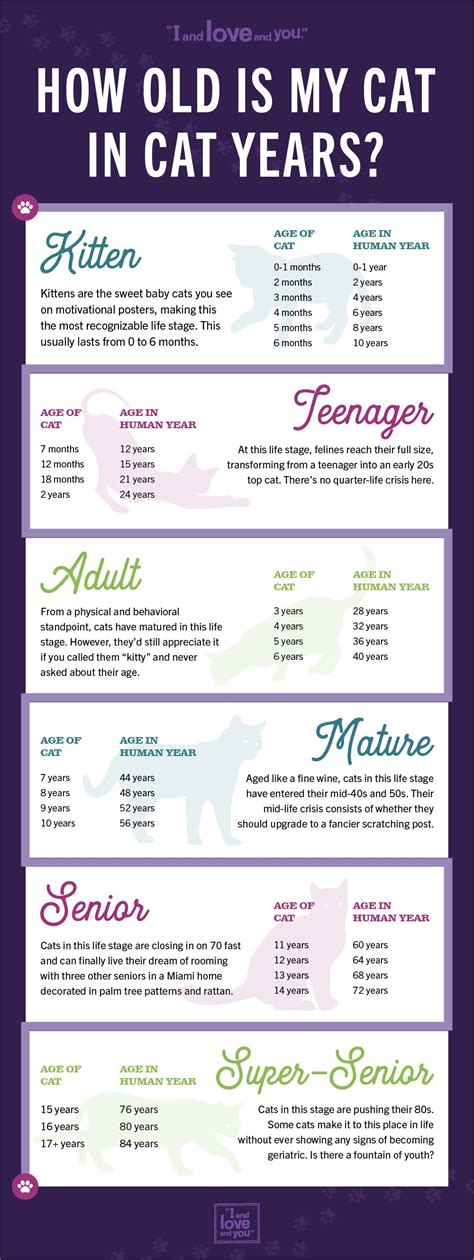 Kitten Lady Age Chart
