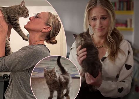 Kitten Sarah Onlyfans Leak 53 PPV