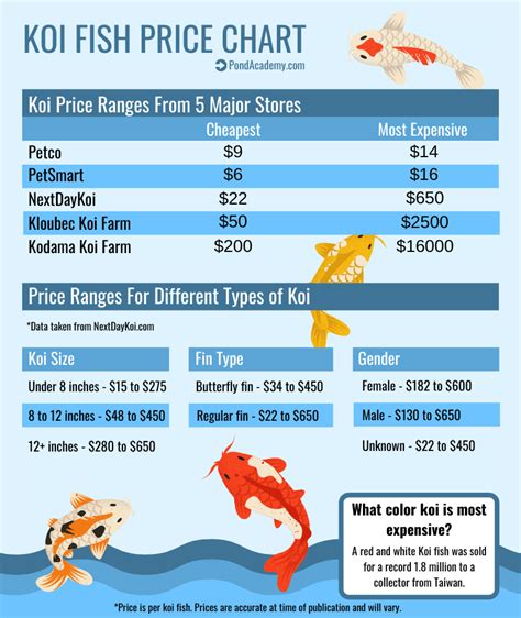 Factors That Affect the Price of Koi Fish