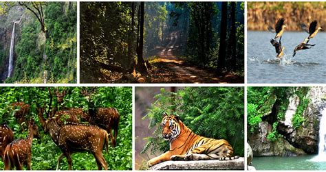 Kotgarh Wildlife Sanctuary