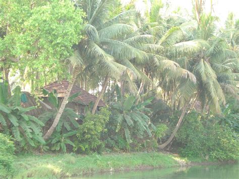 Kovvuri KULLAYE Reddy garden