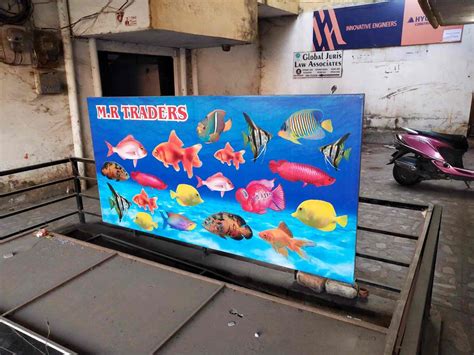 Kunal Fish Aquarium