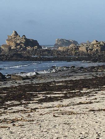 L'Effet Mer à Brest