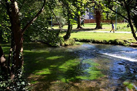 L'HIBISCUS à Malaunay