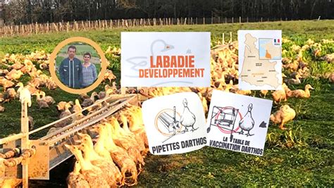 LABADIE DEVELOPPEMENT à Malaussanne