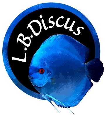 LB Discus à Le Mené