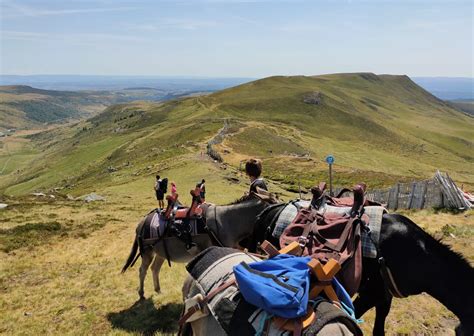 LE COL DE LA MOLEDE A CHEVAL OU AU PAS DE L'ÂNE à Albepierre-Bredons