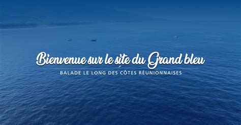 LE GRAND BLEU à Torcy