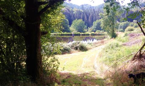 LE MASSITROU à Nedde
