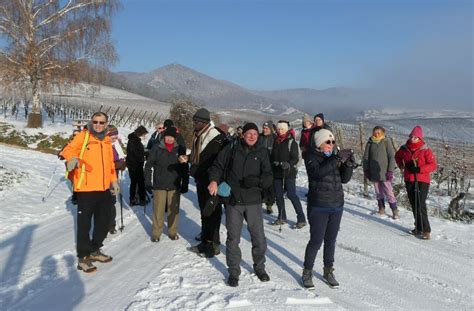 LITTLE T à Val-de-Moder