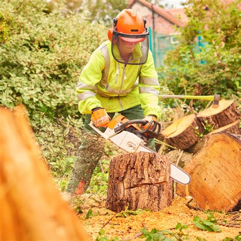 LMH landscaping and Tree Surgery