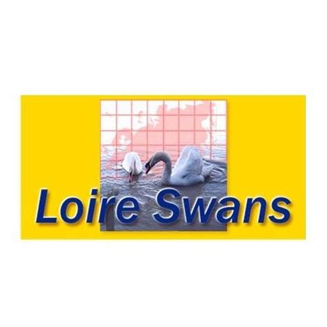 LOIRE SWANS à Rezé
