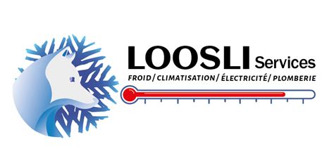 LOOSLI Services à Catllar