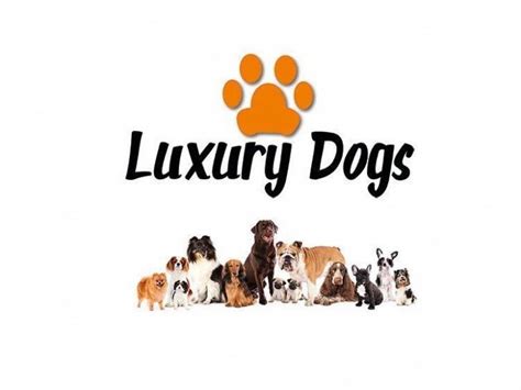 LUXURY DOGS à Brix