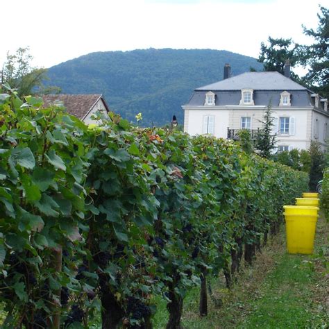 La Cave du Vieil Armand à Wuenheim