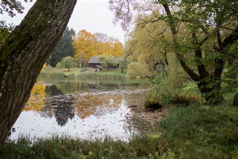 La Forêt à Nérondes