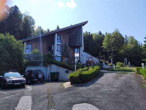 La petite brindille à Bogève