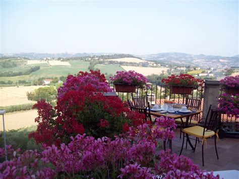 La terrazza fio...Rita Perugia