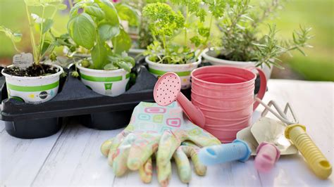 LaMaison.fr à Miniac-Morvan