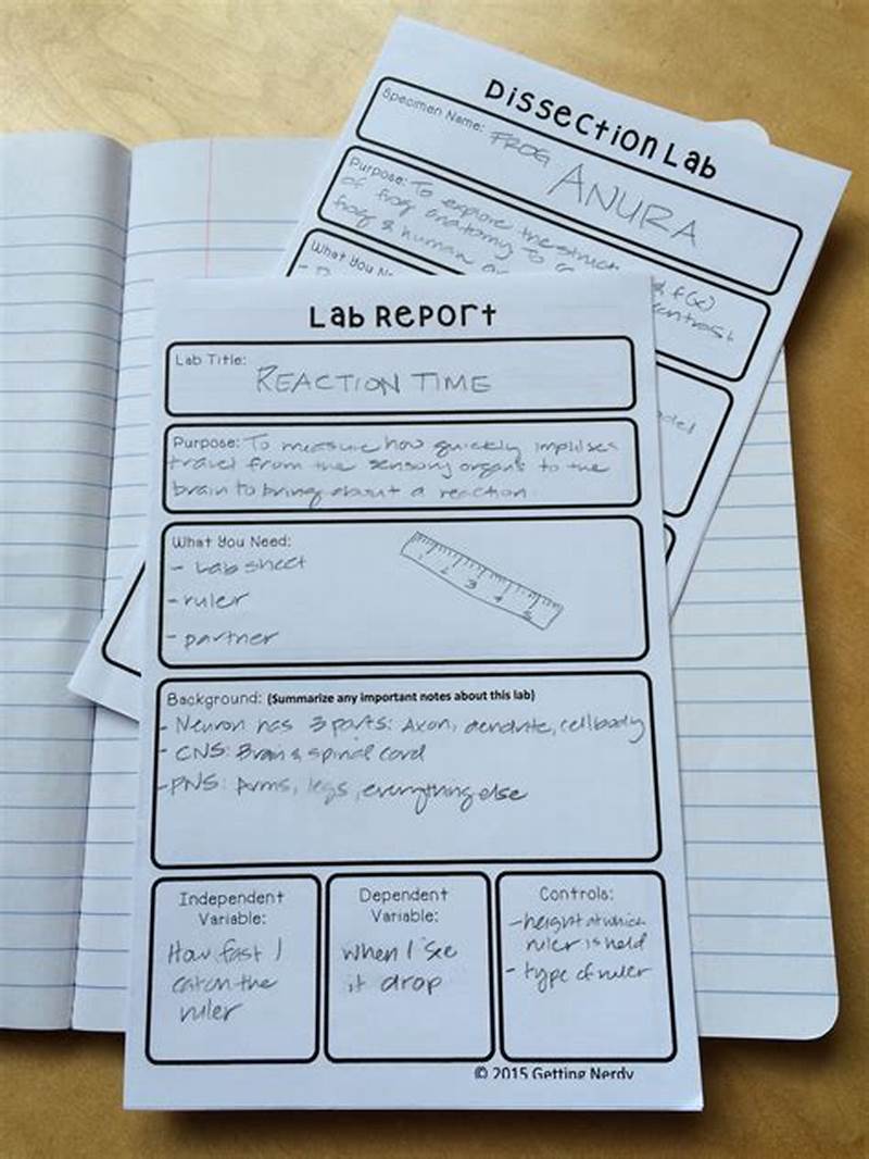 Lab Notebook Template