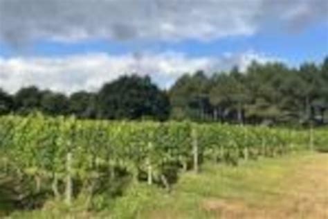 Labastide de Villenave à Villenave