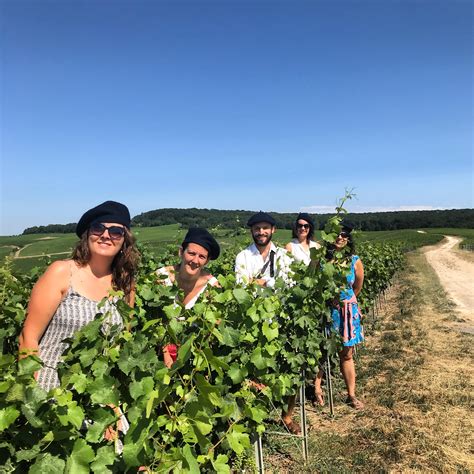 Labbé Caroline à Aÿ-Champagne