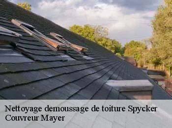 Label Toiture à Spycker
