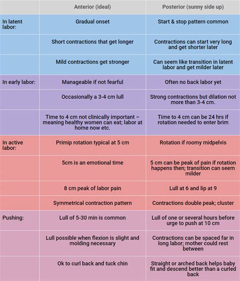 Labor Contractions Chart