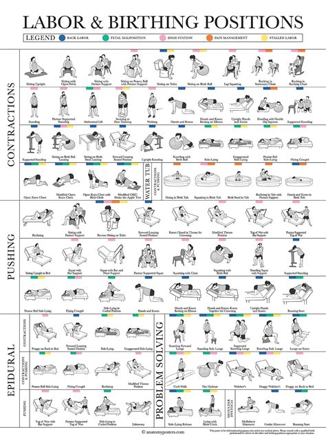 Labor Positions Chart