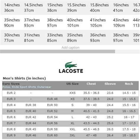 Lacoste Sizing Chart Men
