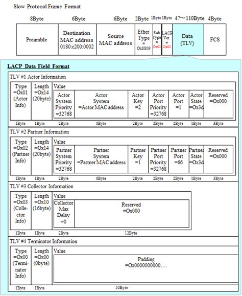 Lacp Packet Format