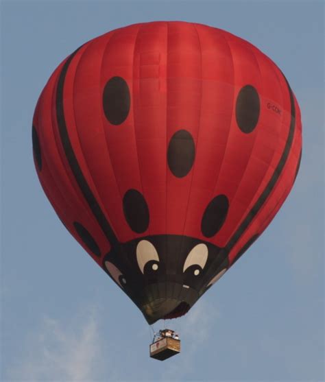 Ladybird Balloons