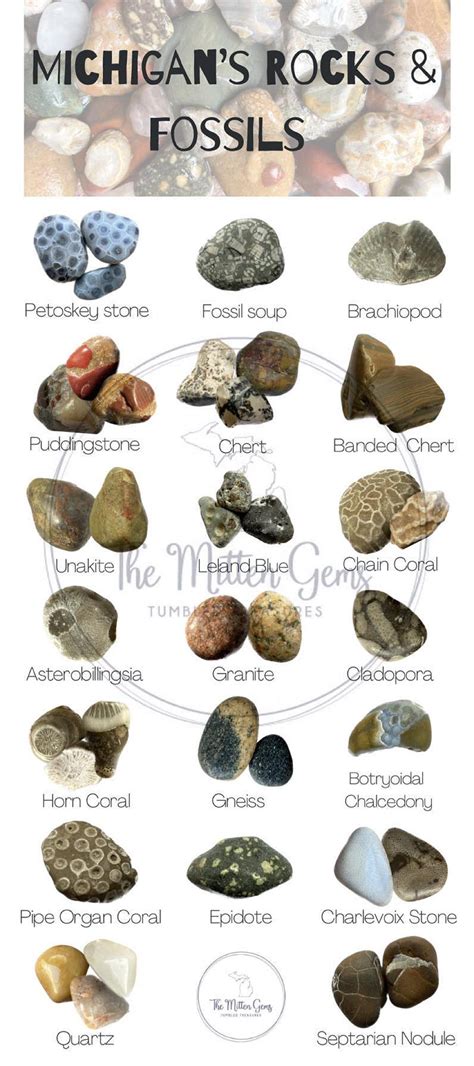 Lake Michigan Rock Identification Chart