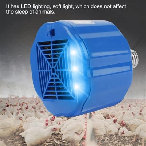 Lampu LED dalam Kandang Ayam