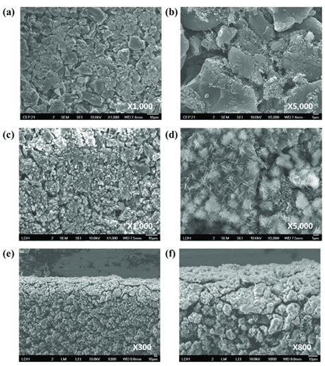 Activated Carbon SEM … 