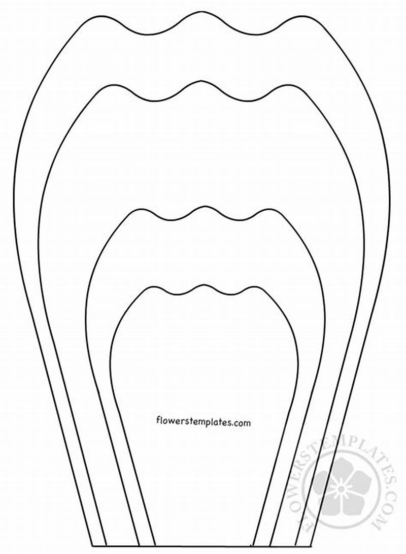 Large Paper Flower Pattern