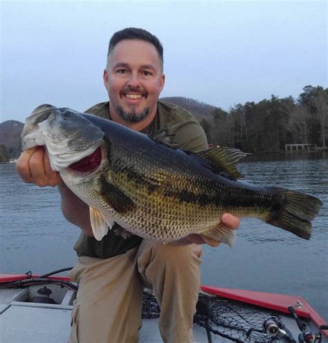 Largemouth bass in North Carolina