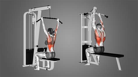 Lat Pulldown