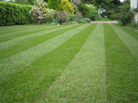 Lawn & Weed Expert - Lawn Care Services