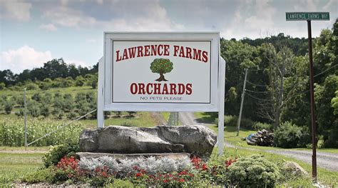 Lawrence Farm & Bittern Barn