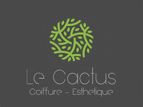 Le Cactus à Tours