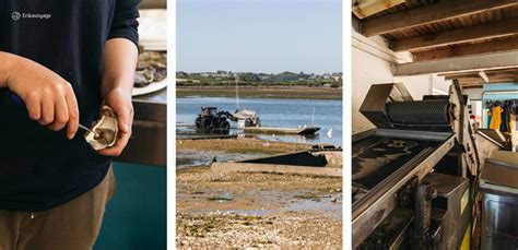 Le Coquil à Carantec