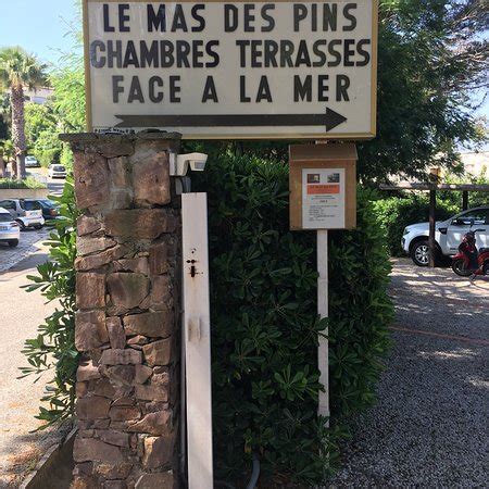 Le MAS des PINS à Gassin